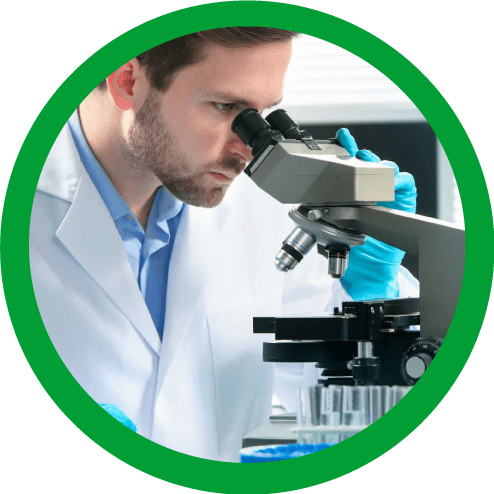 Gestion preventiva de plagas