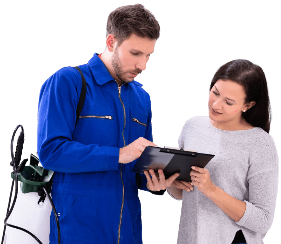 Portafolio de Servicios