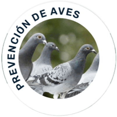 Prevención de Aves Prevención de Aves