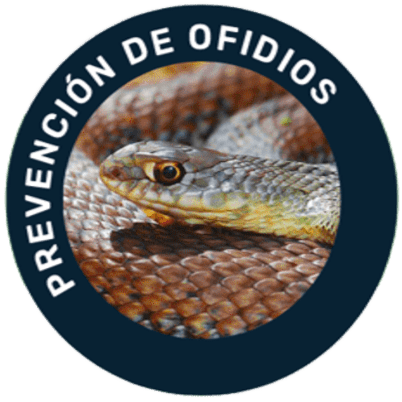 Prevención de Ofidios