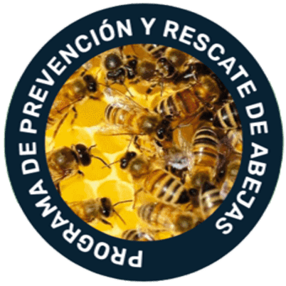 Programa de Abejas